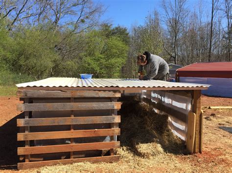 pig shelter building